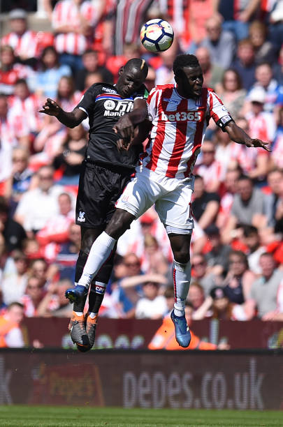 死忠们感到 死忠们感到