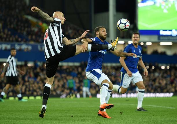 未来展望 未来展望