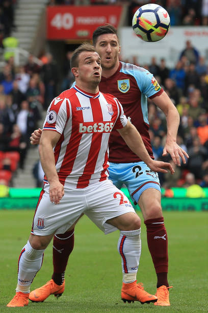 天津津门虎 天津津门虎